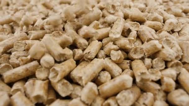 Pellets Compressed Organic Matter Biomass Ecological Heating Renewable Energy — Stockvideo