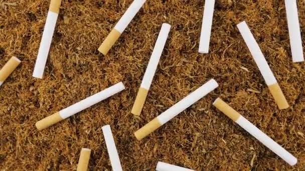 Tobacco Cigarettes View Top — Vídeo de Stock