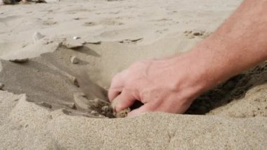 Hand is digging a hole in the sand