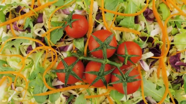 チェリートマトと野菜サラダ 健康食品成分 — ストック動画
