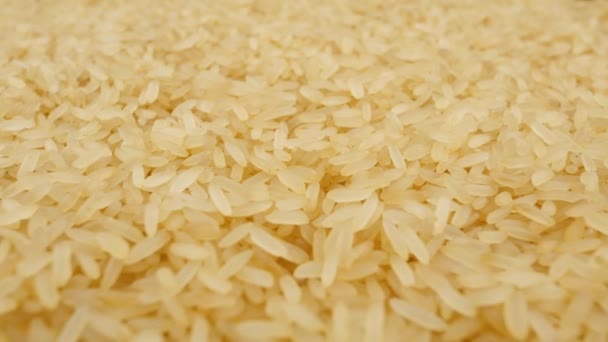 Rice Raw Long Rice Grains Closeup — Wideo stockowe
