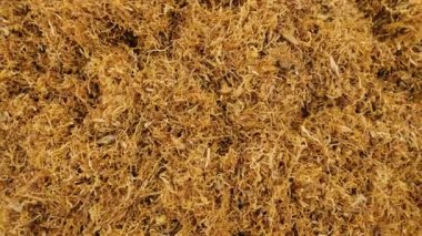 Tobacco. Organic natural authentic tobacco.