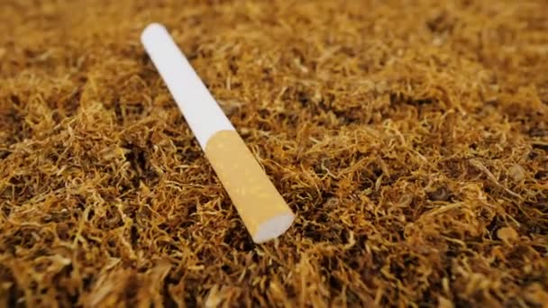 Tobacco Cigarette Close View — Stok video
