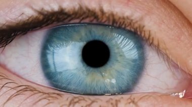 Human eye. Eyeball close up. Zoom into a pupil of the eye and zoom out. Human inner world concept