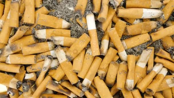 Burnt Cigarette Butts Ash Smoked Cigarettes Ashtray Close Shot — Vídeos de Stock