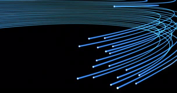 Optical Fiber Data Transmission Fiber Optic Communication Macro Shot Seamless — Vídeo de Stock