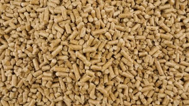 Pellets Pressed Wood Sawdust Combustible Organic Material Ecological Heating Renewable — Stockvideo