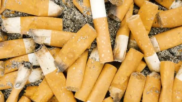 Kouřil Cigarety Popelníku Zadky Cigaret Oddálit — Stock video