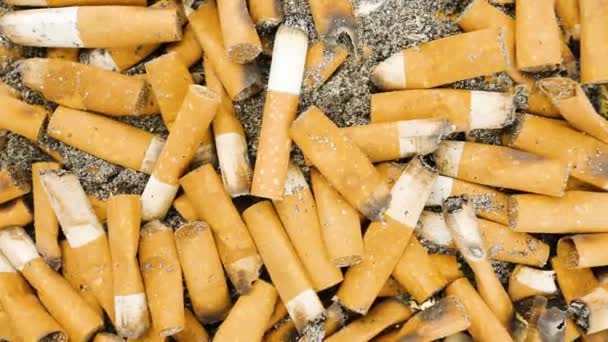 Cigarette Butts Smoked Cigarettes Ashtray Zoom — Stockvideo