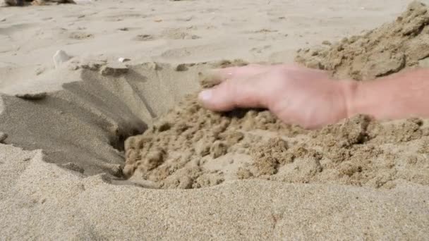 砂の中に穴を開ける手 — ストック動画