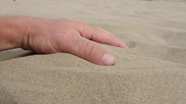 手はきれいな暖かい砂を取ります 人は柔らかい砂浜に触れます 低角度表示 クローズアップ撮影 — ストック動画