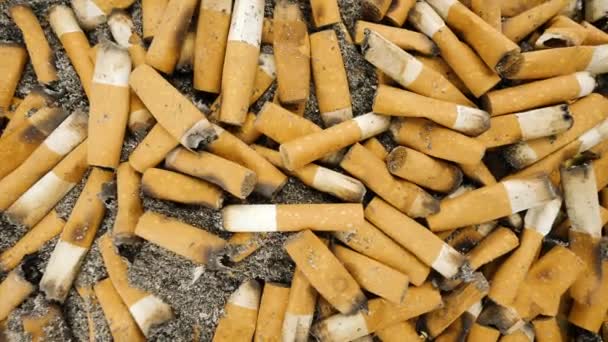 Cigarrillos Ahumados Con Filtro Cenicero Vista Desde Arriba — Vídeos de Stock