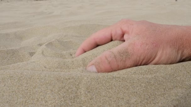 人は柔らかい砂浜に触れます 手はきれいな暖かい砂を取る — ストック動画
