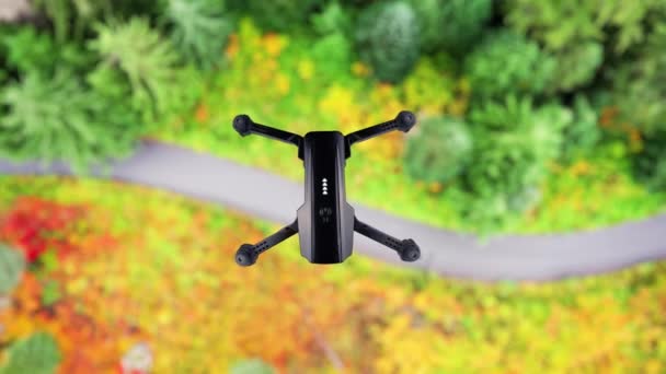 Drone Voar Sobre Floresta Quadricóptero Preto Pairando Sobre Uma Estrada — Vídeo de Stock