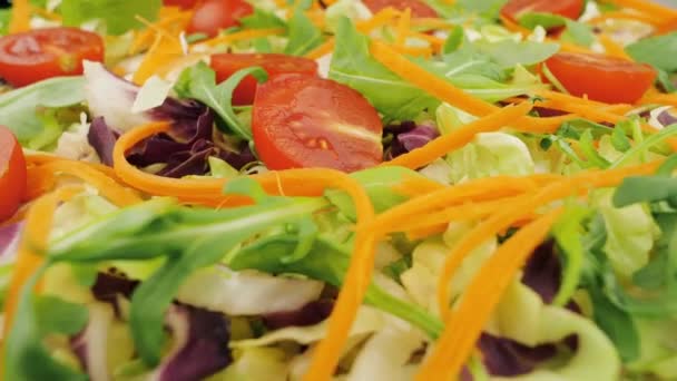 Gemüsesalat Gemischt Mit Rucola Kirschtomaten Purpursalat Spinat Endivien Mangold Und — Stockvideo