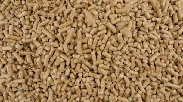 Pressed Wood Pellets Combustible Organic Material Ecological Heating Renewable Energy — Stock Video