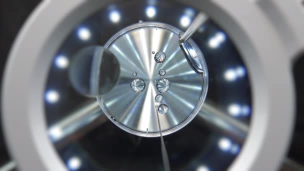 Vattenprov Mikroskop Forskning Och Analys Dricksvatten — Stockvideo