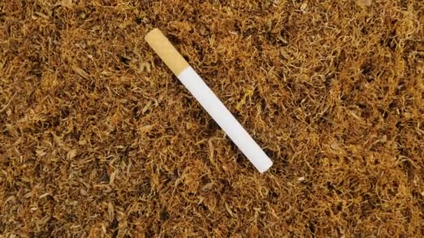 香烟和烟草过滤 切碎的正宗烟草叶子 从上面看 — 图库视频影像