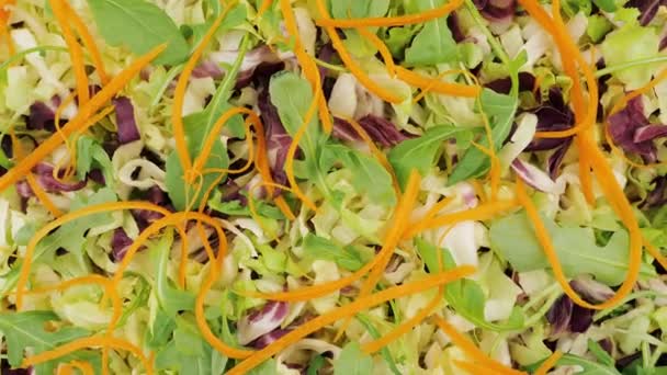 Salada Vegetais Jogado Salada Vista Cima — Vídeo de Stock