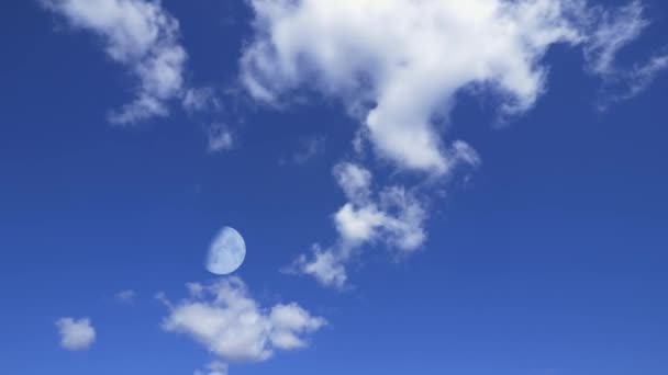 Månen Dagen Med Rörliga Moln Månen Och Den Grumliga Blå — Stockvideo