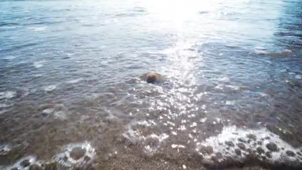 Fale Morskie Toczą Się Piaszczystej Plaży Fala Płynie Piaszczyste Wybrzeże — Wideo stockowe