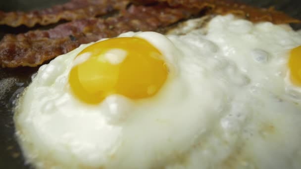 Fried Eggs Bacon Rashers Extreme Close View — Stock Video