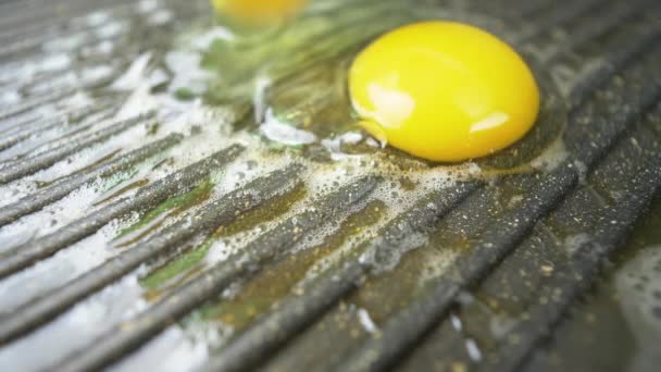 Αυγά Κοτόπουλου Πέφτουν Μια Καυτή Ψησταριά Αυγά Τηγανίζονται Αντικολλητικό Τηγάνι — Αρχείο Βίντεο