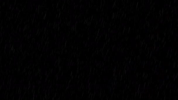 Regen Isoliert Auf Schwarzem Hintergrund Fallende Regentropfen Verschwimmen Nahtlose Schleifenanimation — Stockvideo