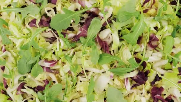 Σαλάτα Λαχανικά Σαλάτα Φυτικές Βιταμίνες Κορυφαία Άποψη — Αρχείο Βίντεο