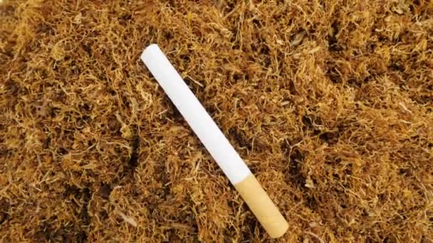 タバコとタバコだ 本物の喫煙タバコのみじん切りの葉 上からの眺め — ストック動画