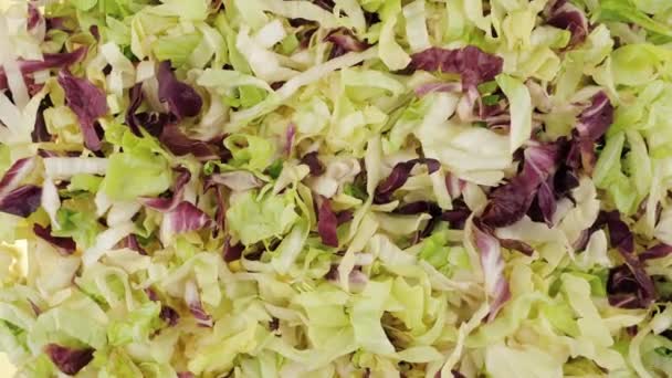 Gooide Salade Plantaardige Vitamine Salade Bovenaanzicht — Stockvideo