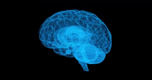 脳3D投影 人間の脳のデジタルホログラフィックを回転させます ループ可能なアニメーション 黒の背景に隔離された — ストック動画