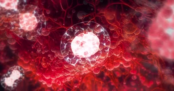 Reproductieve Cellen Vermenigvuldiging Celdeling Onder Een Microscoop — Stockvideo