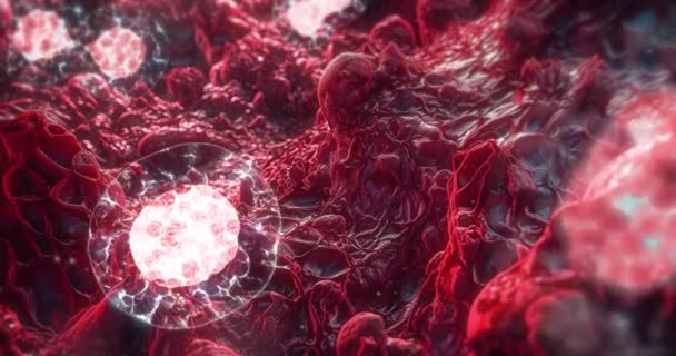Τμήμα Κυττάρων Κάτω Από Ένα Μικροσκόπιο Εμβρυονική Έννοια Ανάπτυξης — Αρχείο Βίντεο