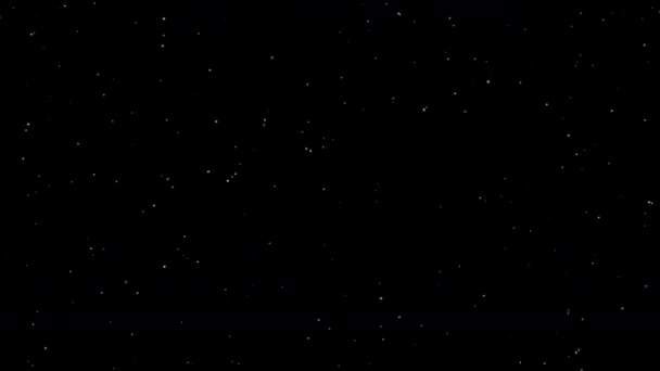 Плавающие Частицы Пыли Движутся Воздухе Воде Передвижная Анимация Изолированная Чёрном — стоковое видео