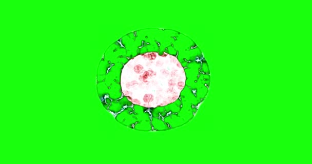 Процесс Клонирования Клеток Микроскопом Изолированный Цвет Хромаки — стоковое видео