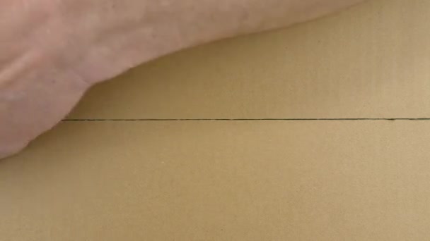 Картонная Коробка Хромаки Внутри Упаковка Уплотнение Картонной Коробки Клейкой Лентой — стоковое видео