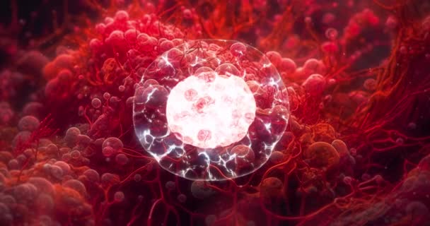 División Celular Reproductiva Dentro Organismo Vivo Bajo Microscopio Concepto Científico — Vídeos de Stock