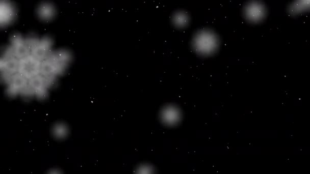 Schneefall Große Und Kleine Schneeflocken Fliegen Herunter Nahtlose Schleifenanimation Alphakanal — Stockvideo