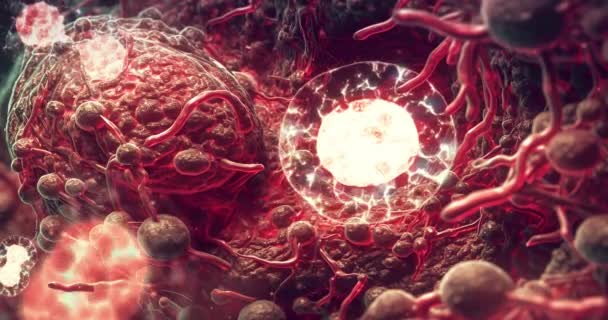 顕微鏡下の細胞や分子 生物の再現 マクロな視点 — ストック動画