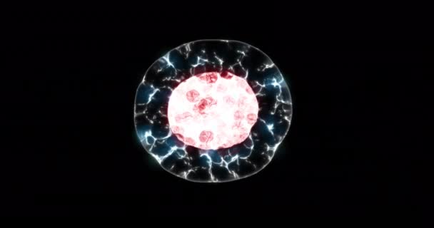 Процесс Деления Клеток Микроскопом Изолированный Черном Фоне Альфа Каналом — стоковое видео