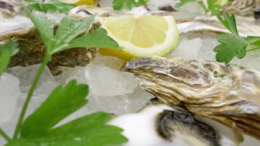 Limonlu ve maydanozlu istiridye. Düşük açı, yakın görünüm
