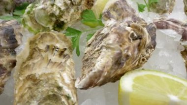 İstiridye yarım kabuklu ve buzlu limon..