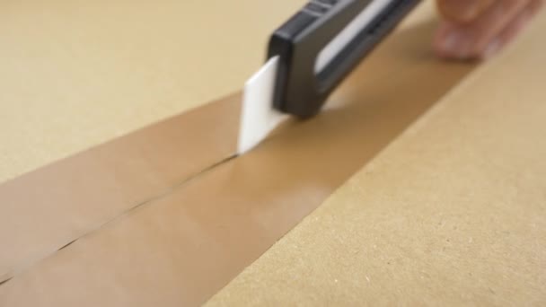 Paket Carton Pemotongan Kardus Dengan Pisau Klerikal Membuka Kotak Kardus — Stok Video