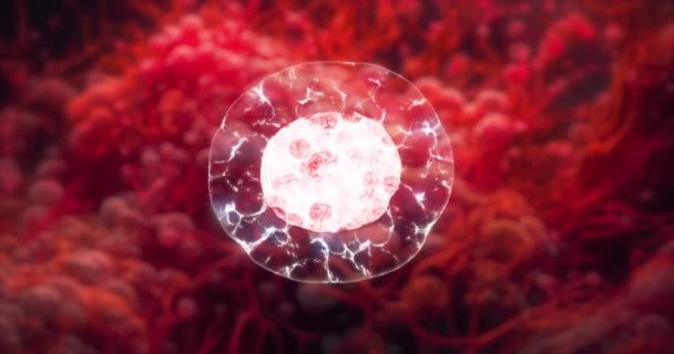 Podział Komórek Wzrost Pod Mikroskopem — Wideo stockowe
