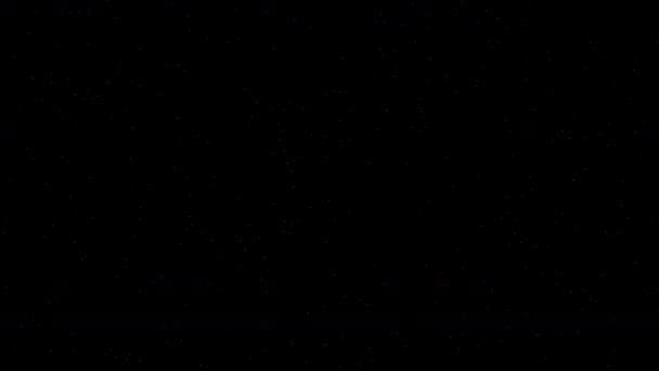 微視的塵粒子アルファチャンネル 黒い背景に隔離されたシームレスなループアニメーション — ストック動画