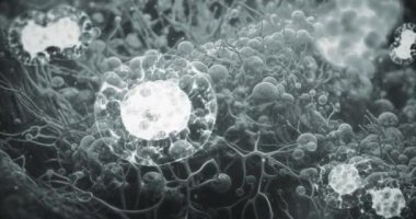 Mikroskop altında biyolojik hücre ayırma işlemi. Hücre bölünmesi insan vücudunda