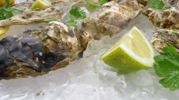 Gekühlte Austern Auf Eis Serviert Rohe Meeresfrüchte Aus Nächster Nähe — Stockvideo