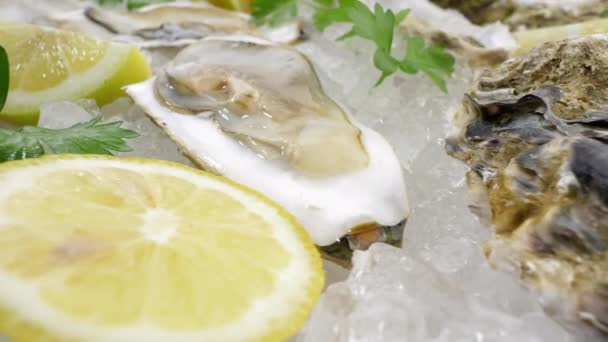 Halb Geöffnete Pazifische Austern Mit Zitronenscheiben — Stockvideo