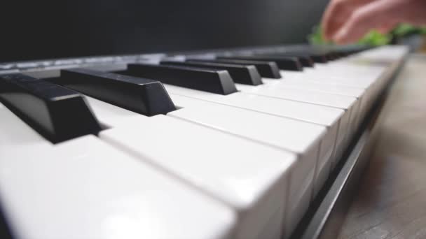 Persoon Die Elektronisch Toetsenbord Speelt Handen Van Een Muzikant Spelen — Stockvideo